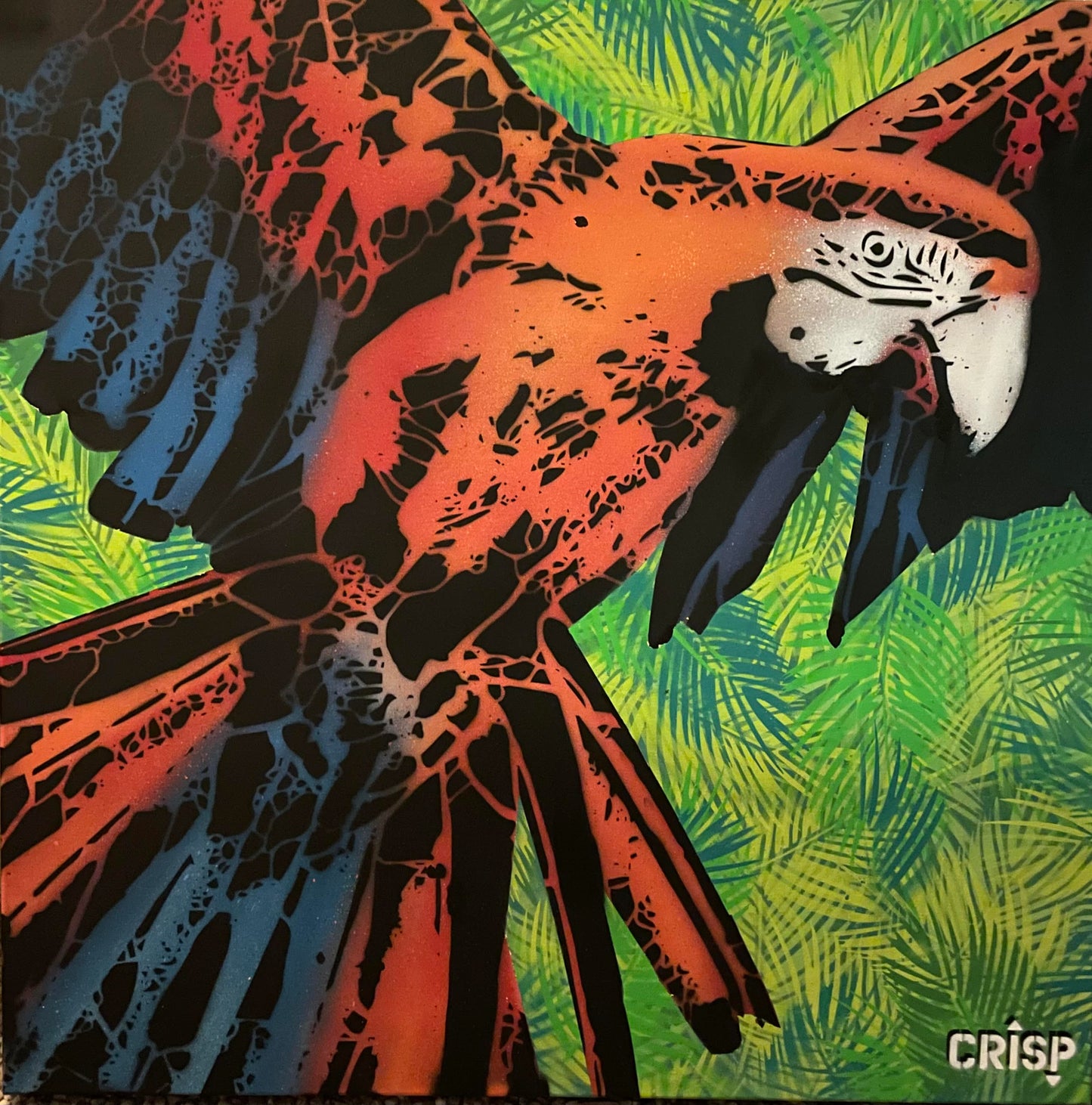 TOUCAN - AEROSOL ON CANVAS